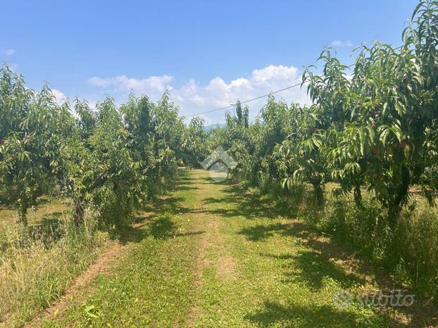 TER. AGRICOLO A VERONA