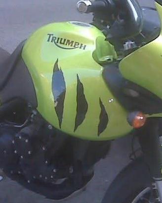 Triumph tiger 955i x ricambi
