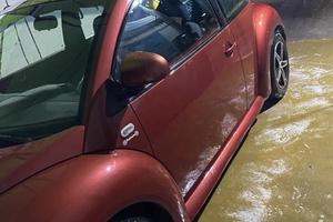 VOLKSWAGEN maggiolone new beetle