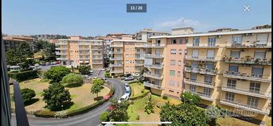 Canalicchio/Cerza bivani