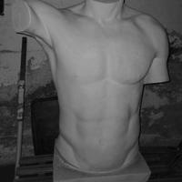 Busto in gesso