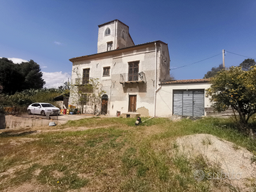 Campagna con abitazione e uliveto