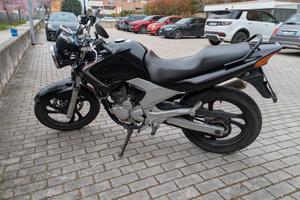 Ybr 250