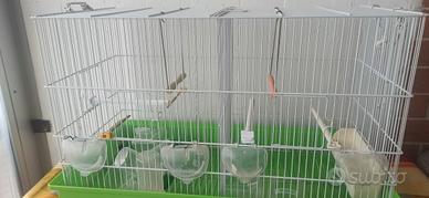 Gabbia x uccelli