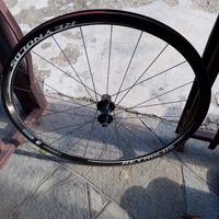 cerchio bici reynold carbonio
