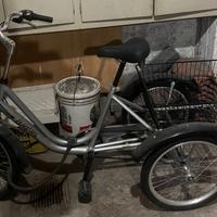 Triciclo per adulti