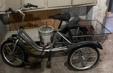Triciclo per adulti