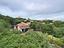 Immagine 26
