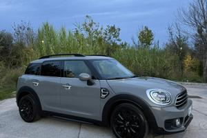 Mini Countryman One D