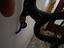 Immagine 4