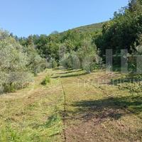 Terreno Agricolo Pontelatone [Cod. rif 3242668VCG]