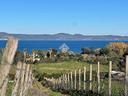 ter-agricolo-a-anguillara-sabazia