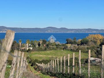 TER. AGRICOLO A ANGUILLARA SABAZIA