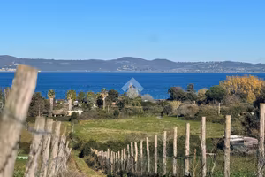 TER. AGRICOLO A ANGUILLARA SABAZIA