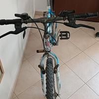 mountain bike 24