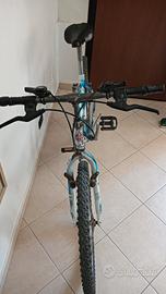 mountain bike 24