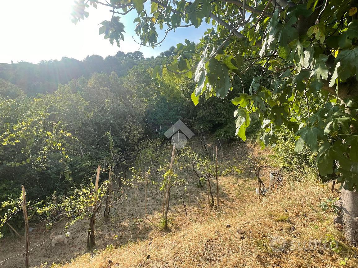 TER. AGRICOLO A CELLATICA - Vista 2