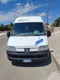 camper puro