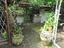 Immagine 6