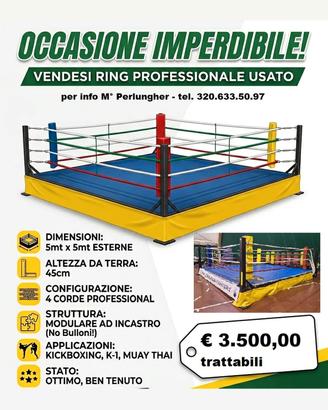 Ring rialzato da combattimento 4 corde
