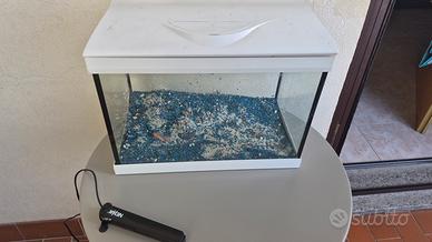 acquario 22 litri 