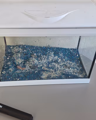acquario 22 litri 