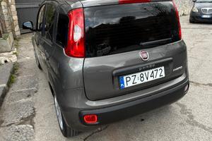 Panda Fiat
