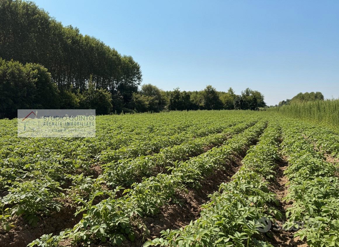 Terreno agricolo di mq. 4520 ca - Vista 2