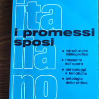 "I promessi sposi" RIASSUNTO, commenti,tematiche