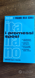 "I promessi sposi" RIASSUNTO, commenti,tematiche