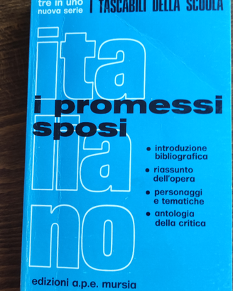"I promessi sposi" RIASSUNTO, commenti,tematiche