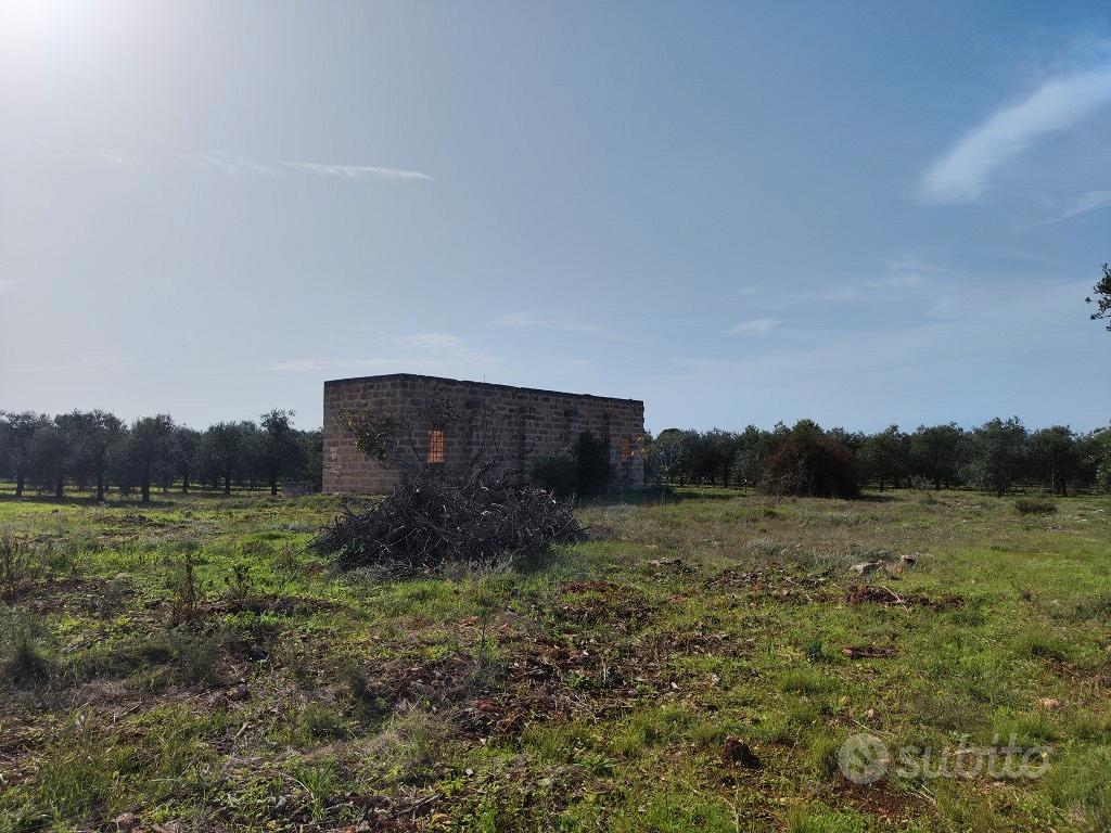 Terreno con progetto di villa con piscina - Altro