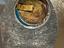 Immagine 5