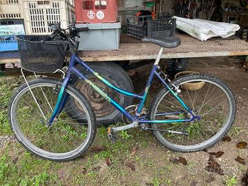 Bicicletta