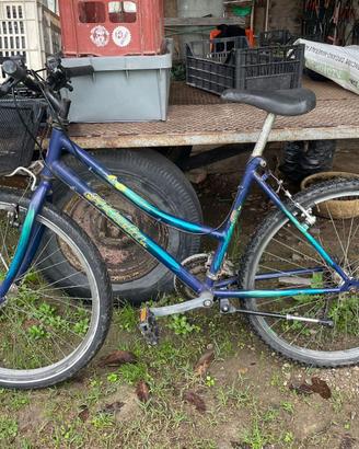 Bicicletta