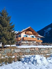 BILOCALE disponibile dal 7 marzo e Pasqua/ponti