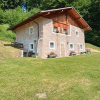 Baita Val Algone Trentino