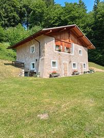 Baita Val Algone Trentino