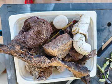 rocce e legni acquario 