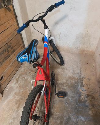 bici.