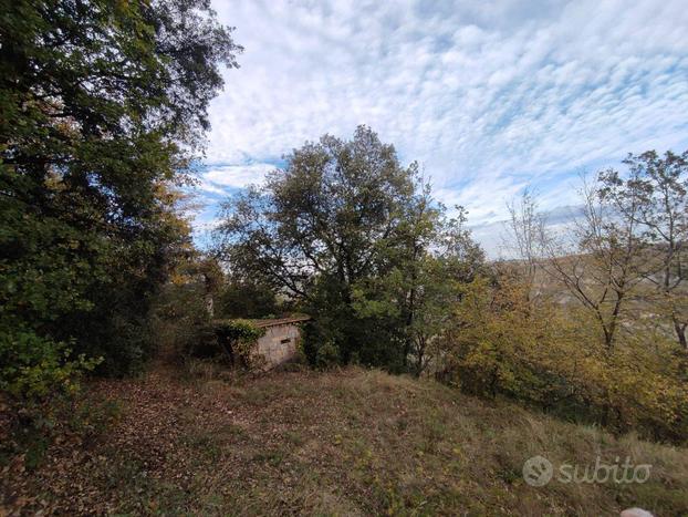 Terreno agricolo - Ascoli Piceno