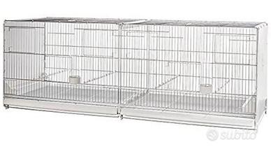 voliera zincata doppia da riproduzione 