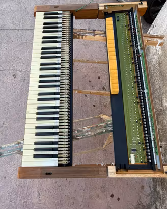 Organo tastiera