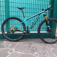 Bianchi methanol cv 9.1 