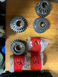 Ingranaggi cambio sequenziale Bacci RC121