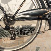 Bici City Bike Donna