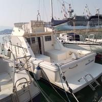 CAYMAN 30 FLY 2004
