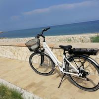 Bicicletta elettrica Montana