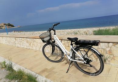 Bicicletta elettrica Montana