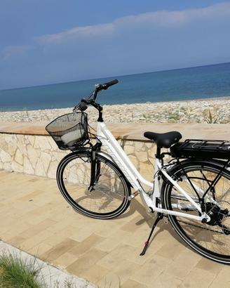 Bicicletta elettrica Montana